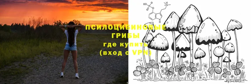 Галлюциногенные грибы Psilocybe  мега онион  нарко площадка наркотические препараты  Аксай 